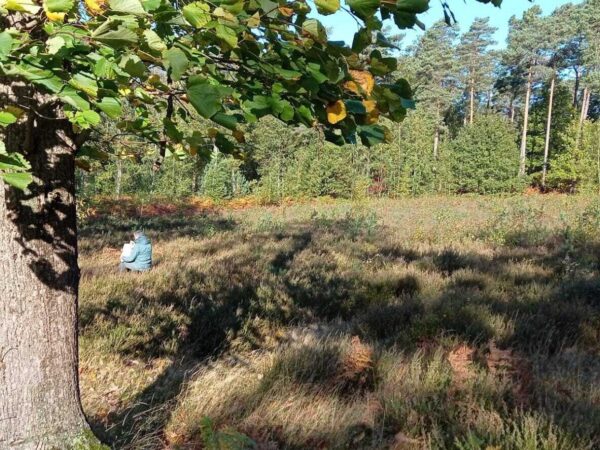 poëzie in de natuur