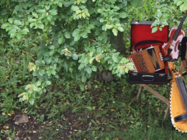 Instrumenten onder de pruimenboom