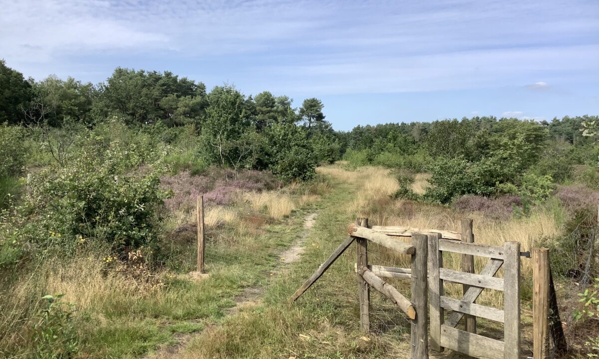 Zandgronden Kempen en Hageland in Landschapspark de Merode