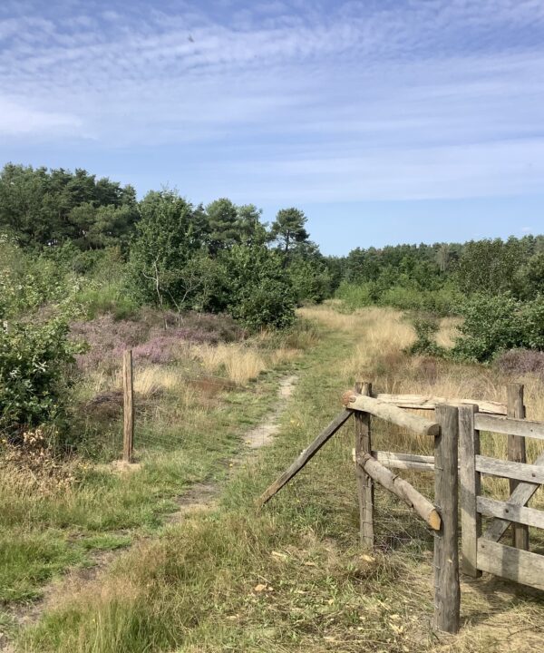 Zandgronden Kempen en Hageland in Landschapspark de Merode